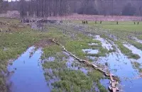 Мігранты на мяжы Беларусі і Польшчы
