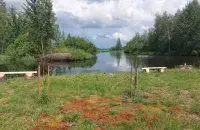 Лето, иллюстративное фото
