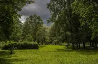 Дождж, ілюстрацыйнае фота
