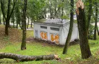 Последствия урагана в Минске
