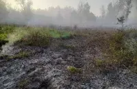 На месте лесного пожара под Бобруйском
