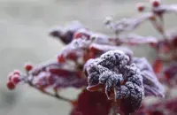 Восень, ілюстрацыйнае фота

