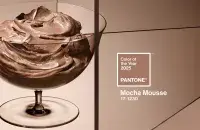 Цвет следующего года
