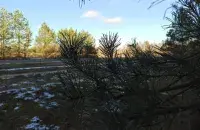 В начале зимы в Беларуси
