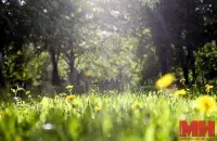 Надвор'е ў Беларусі
