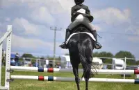 Конны спорт, ілюстрацыйнае фота
