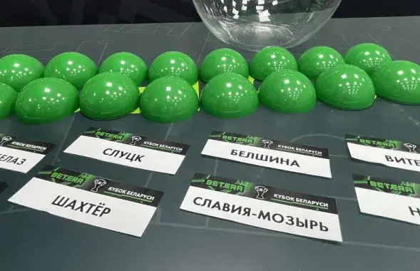 Падчас лёсавання / abff.by
