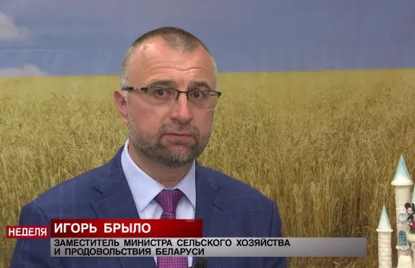 Игорь Брыло / СТВ