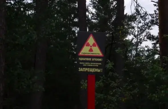 Рашэнне рабіць прасекі ў радыеактыўным запаведніку выглядае вельмі дзіўна / obzoor.by