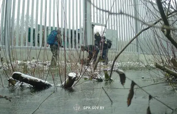 В ГПК РБ говорят, что польские службы периодически вытесняют мигрантов в Беларусь / иллюстративное фото @gpkgovby
