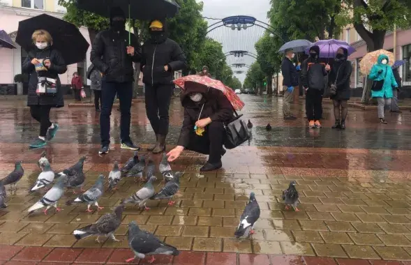 Кармленне галубоў&nbsp;/ belsat.eu