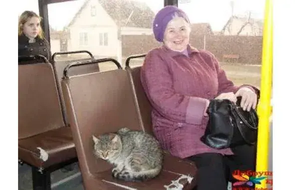 Фото очевидцев