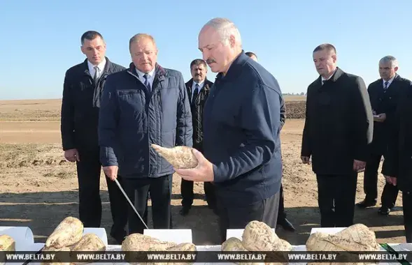 Фото: БЕЛТА