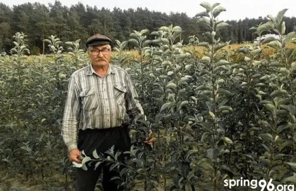 Николай Витиков
