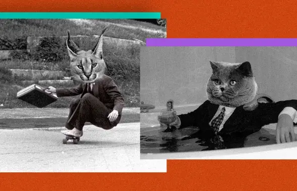 Профориентация
