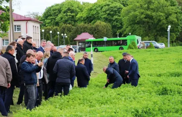 Чыноўнікі ў полі
