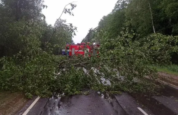 Деревья падали и на автодороги
