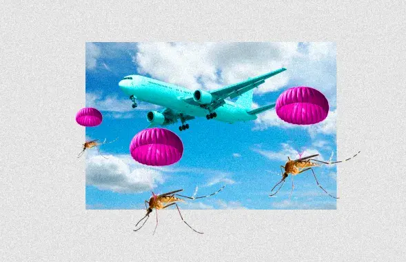 Международные новости
