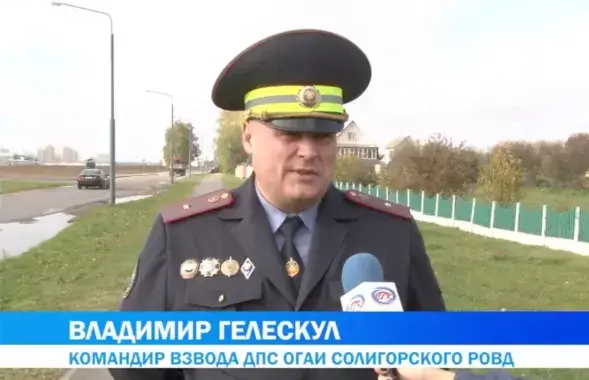 Владимир Гелескул
