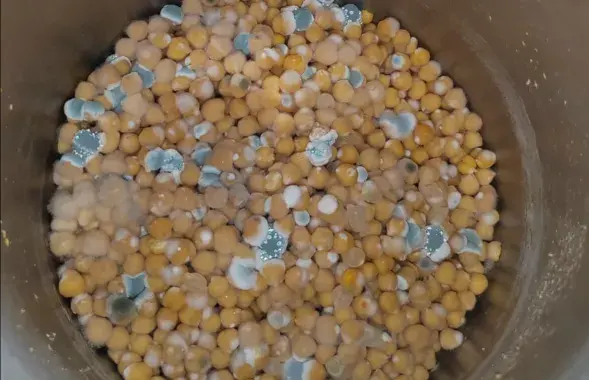 Продукты из закрытого ресторана
