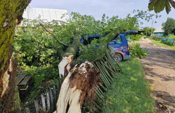 Наступствы ўрагану ў Беларусі
