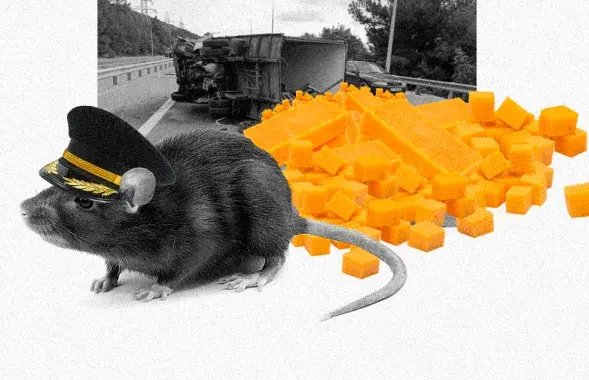Зарубежные новости
