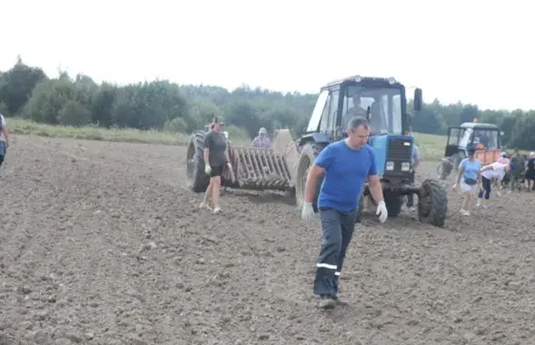 Борьба с камнями на поле в Ошмянском районе

