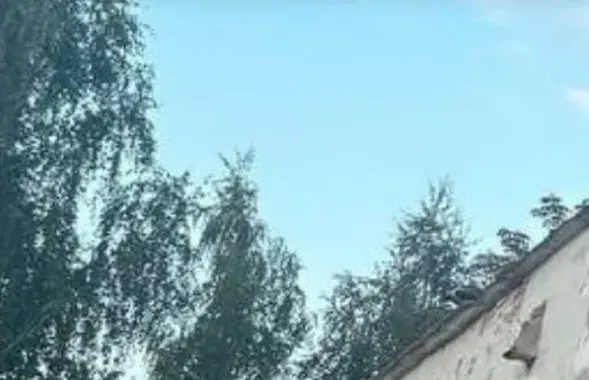 На месте происшествия
