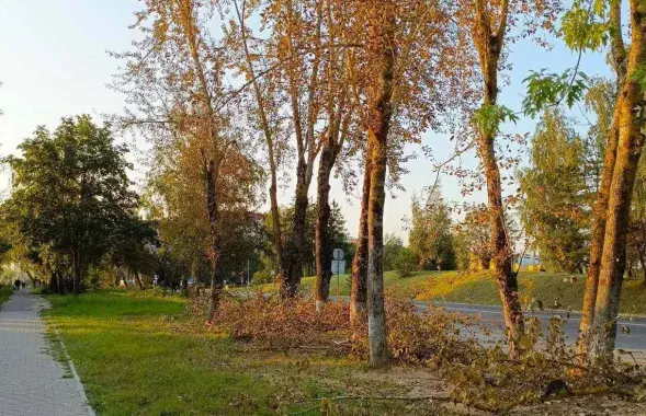 Осень в Беларуси
