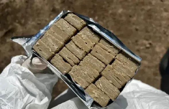 Вакцына ад шаленства
