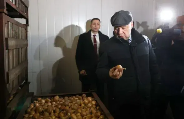 Раман Галоўчанка аглядае запасы цыбулі
