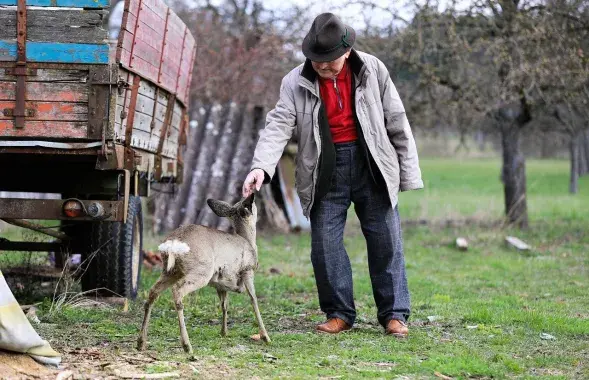 Пажылы чалавек, ілюстрацыйнае фота

