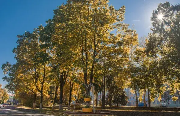 Осень
