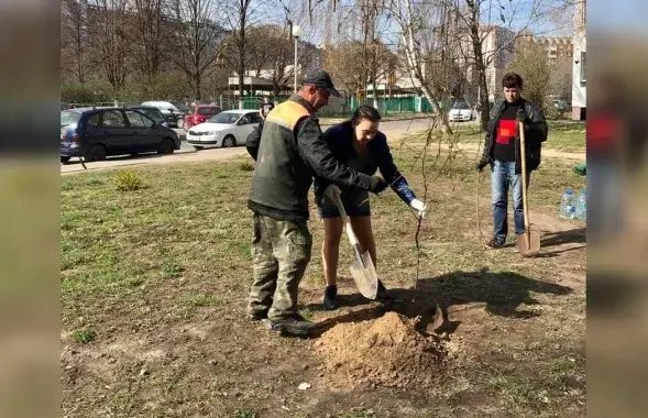 Анна Канопацкая сажает дерево

