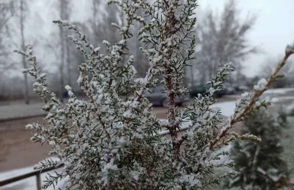 У студзені на поўдні Беларусі
