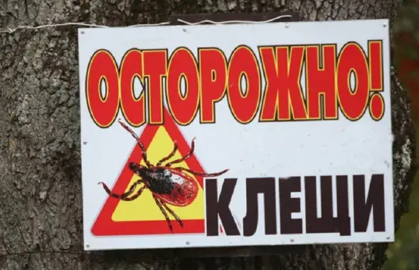 Существует риск нападения клещей как на человека, так и на животных
