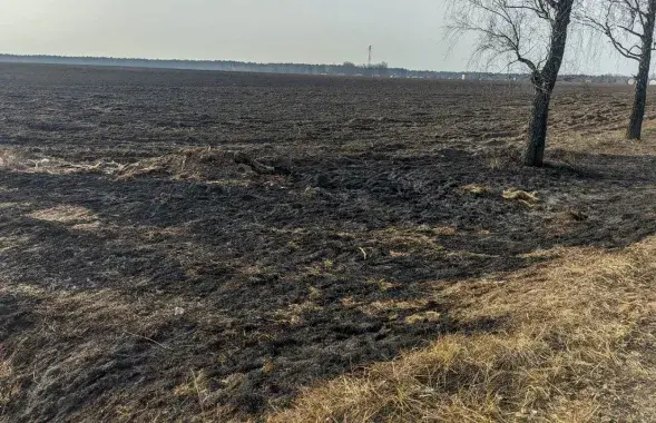 На месте происшествия
