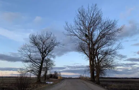 Вясна, ілюстрацыйнае фота
