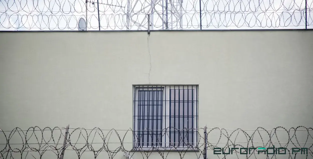 Што рабіць з беларускімі катамі, распавяла актывістка БХД Валерыя Чарнаморцава / Еўрарадыё
