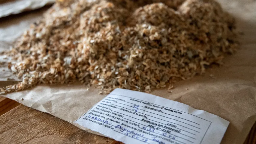 Чарнобыльскі турызм: што паказваюць на экскурсіі ў беларускую Зону адчужэння